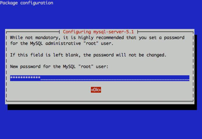Setting the root password for MySQL on a Linode.