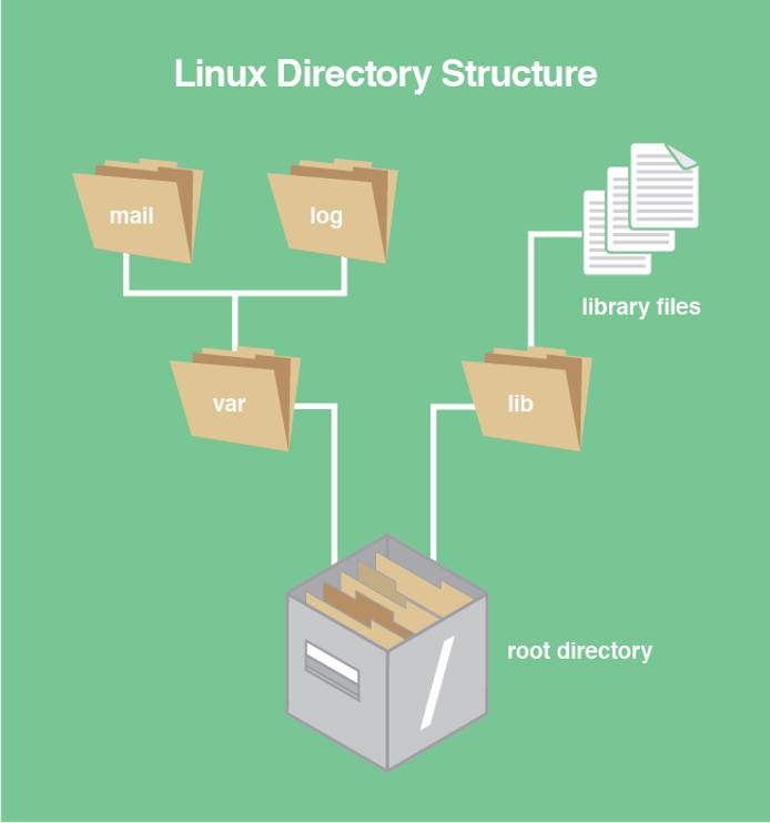 The Linux directory structure.